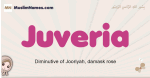 Juveria muslim girls name and meaning, islamic girls name Juveria