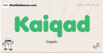 Kaiqad muslim boys name and meaning, islamic boys name Kaiqad
