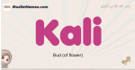 Kali muslim girls name and meaning, islamic girls name Kali