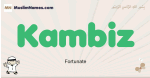 Kambiz muslim boys name and meaning, islamic boys name Kambiz