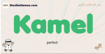 Kamel muslim boys name and meaning, islamic boys name Kamel