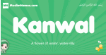Kanwal arabic girl name and meaning, quranic girls name Kanwal