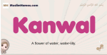 Kanwal muslim girls name and meaning, islamic girls name Kanwal