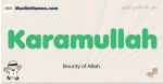 Karamullah muslim boys name and meaning, islamic boys name Karamullah