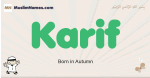 Karif muslim boys name and meaning, islamic boys name Karif