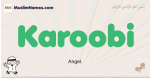 Karoobi muslim boys name and meaning, islamic boys name Karoobi
