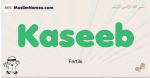 Kaseeb muslim boys name and meaning, islamic boys name Kaseeb