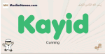 Kayid muslim boys name and meaning, islamic boys name Kayid