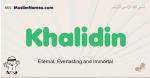 Khalidin muslim boys name and meaning, islamic boys name Khalidin