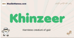 Khinzeer muslim boys name and meaning, islamic boys name Khinzeer