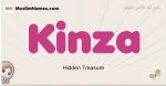 Kinza muslim girls name and meaning, islamic girls name Kinza