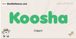 Koosha muslim boys name and meaning, islamic boys name Koosha