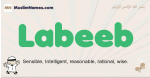 Labeeb muslim boys name and meaning, islamic boys name Labeeb