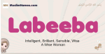 Labeeba muslim girls name and meaning, islamic girls name Labeeba