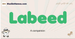 Labeed muslim boys name and meaning, islamic boys name Labeed