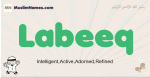 Labeeq muslim boys name and meaning, islamic boys name Labeeq