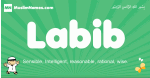 Labib arabic boys name and meaning, quranic boys name Labib