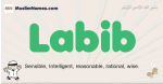 Labib muslim boys name and meaning, islamic boys name Labib