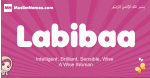 Labibaa arabic girls name and meaning, muslim girl name Labibaa