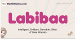 Labibaa muslim girls name and meaning, islamic girls name Labibaa