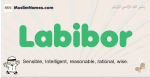 Labibor muslim boys name and meaning, islamic boys name Labibor