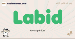 Labid muslim boys name and meaning, islamic boys name Labid