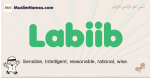 Labiib muslim boys name and meaning, islamic boys name Labiib