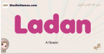 Ladan muslim girls name and meaning, islamic girls name Ladan
