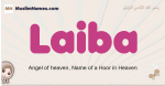 Laiba Meaning, Arabic Muslim name Laiba Meaning