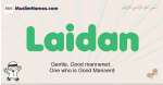 Laidan muslim boys name and meaning, islamic boys name Laidan