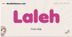 Laleh muslim girls name and meaning, islamic girls name Laleh