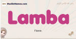 Lamba muslim girls name and meaning, islamic girls name Lamba