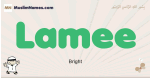 Lamee muslim boys name and meaning, islamic boys name Lamee