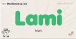 Lami muslim boys name and meaning, islamic boys name Lami