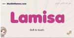 Lamisa muslim girls name and meaning, islamic girls name Lamisa