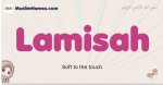 Lamisah muslim girls name and meaning, islamic girls name Lamisah