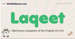 Laqeet muslim boys name and meaning, islamic boys name Laqeet