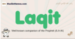 Laqit muslim boys name and meaning, islamic boys name Laqit