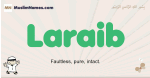 Laraib muslim boys name and meaning, islamic boys name Laraib