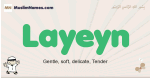 Layeyn muslim boys name and meaning, islamic boys name Layeyn