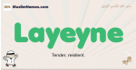 Layeyne muslim boys name and meaning, islamic boys name Layeyne