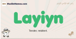 Layiyn muslim boys name and meaning, islamic boys name Layiyn