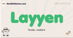 Layyen muslim boys name and meaning, islamic boys name Layyen