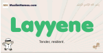 Layyene muslim boys name and meaning, islamic boys name Layyene