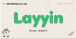 Layyin muslim boys name and meaning, islamic boys name Layyin