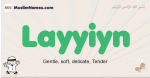 Layyiyn muslim boys name and meaning, islamic boys name Layyiyn