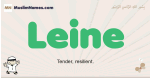 Leine muslim boys name and meaning, islamic boys name Leine