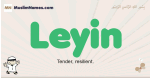 Leyin muslim boys name and meaning, islamic boys name Leyin