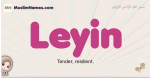 Leyin muslim girls name and meaning, islamic girls name Leyin