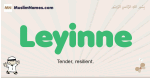 Leyinne muslim boys name and meaning, islamic boys name Leyinne